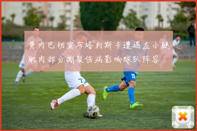 费内巴切宣布塔利斯卡遭遇左小腿肌肉部分撕裂伤病影响球队阵容