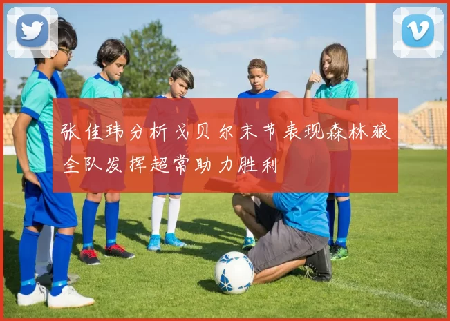 张佳玮分析戈贝尔末节表现森林狼全队发挥超常助力胜利