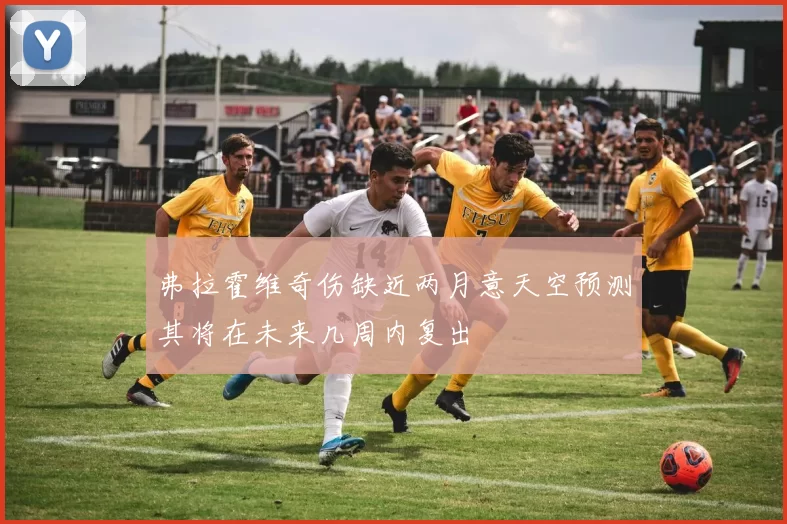 弗拉霍维奇伤缺近两月意天空预测其将在未来几周内复出