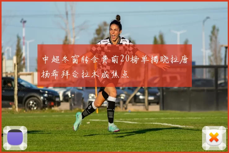 中超冬窗转会费前20榜单揭晓拉唐杨希拜合拉木成焦点