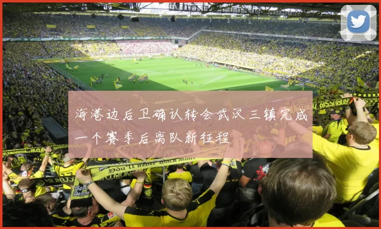 海港边后卫确认转会武汉三镇完成一个赛季后离队新征程