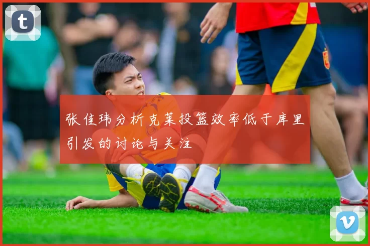 张佳玮分析克莱投篮效率低于库里引发的讨论与关注